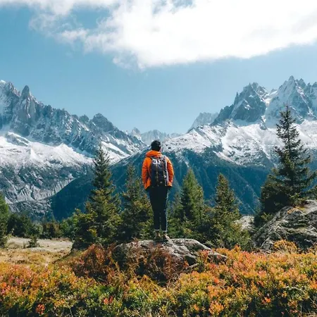 Petit Dru - Mezzanine With Mont Blanc *