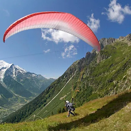 Petit Dru - Mezzanine With Mont Blanc