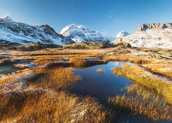 Petit Dru - Mezzanine With Mont Blanc Apartment *
