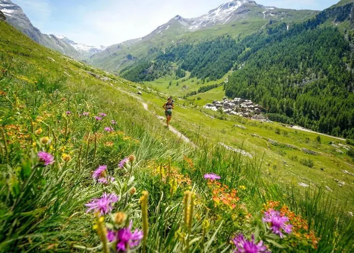 Petit Dru - Mezzanine With Mont Blanc Apartment Chamonix