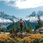 Petit Dru - Mezzanine With Mont Blanc *
