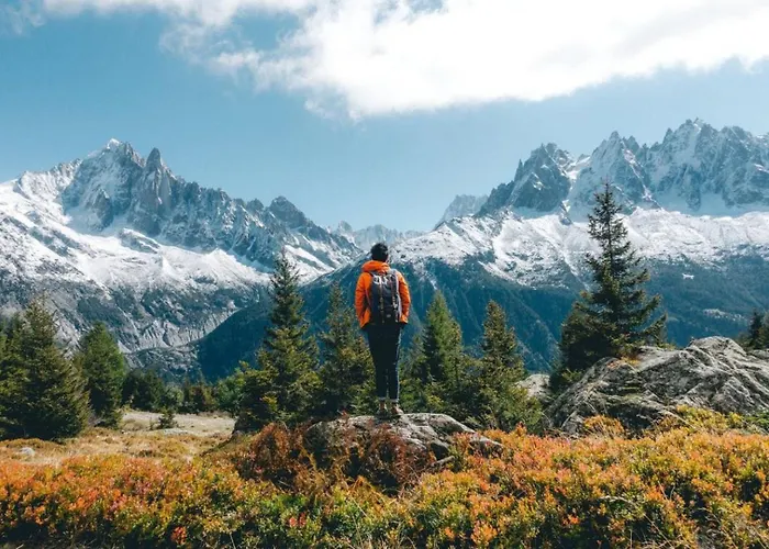 Petit Dru - Mezzanine With Mont Blanc *