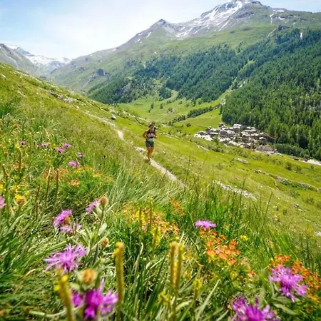 Petit Dru - Mezzanine With Mont Blanc 아파트 샤모니